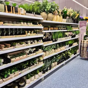 Bild von B&M Home Store with Garden Centre