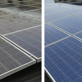 Bild von Green with Passion Group