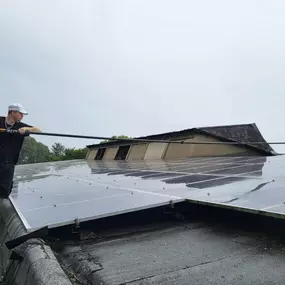 Bild von Green with Passion Group