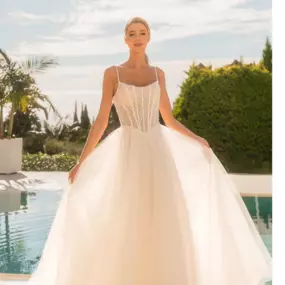 Bild von Novias Berlin