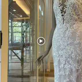 Bild von Novias Berlin