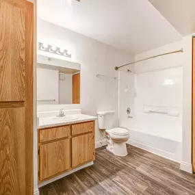 Bathroom vanity and wooden closets