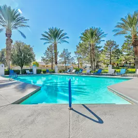 Outdoor swimming pool with palm trees