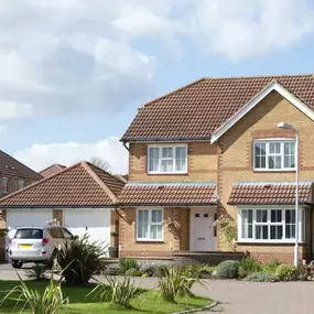 Bild von Build Safe Homes Ltd