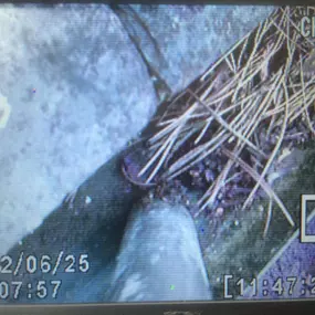 Bild von Compass 24 Window Cleaning