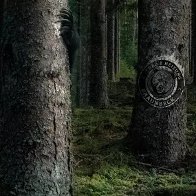 Bild von Braunbeck Bad & Heizung