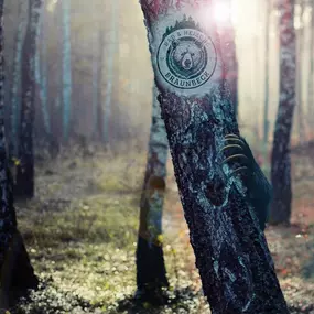 Bild von Braunbeck Bad & Heizung