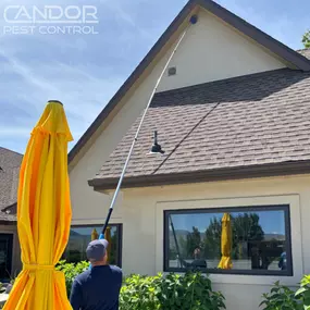 Bild von Candor Pest Control
