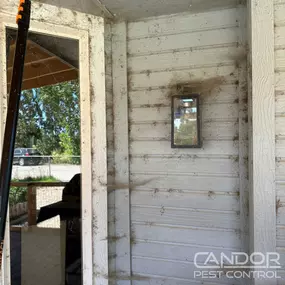Bild von Candor Pest Control
