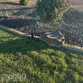 Bild von Candor Pest Control