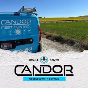 Bild von Candor Pest Control