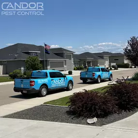 Bild von Candor Pest Control