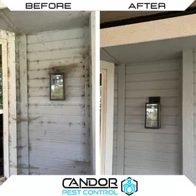 Bild von Candor Pest Control