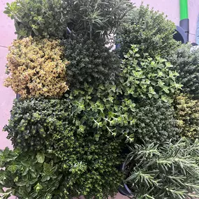 Bild von Lenhardts-Gartenpflege