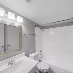 Bathroom with sink, toilet and bathtub