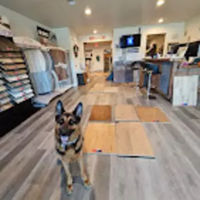 Bild von Floor Masters ATX, LLC