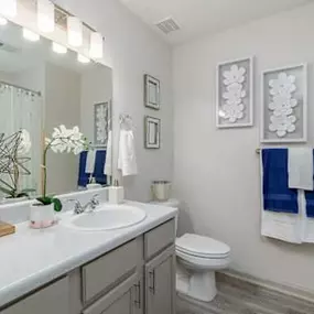 Bild von Hickory Falls Apartment Homes