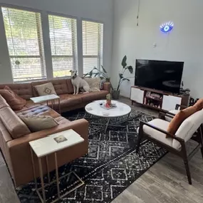 Best Realtor in Austin