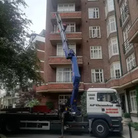 Bild von McGemini Transport Ltd