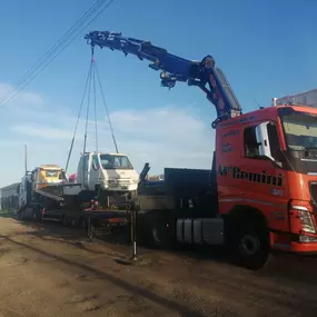 Bild von McGemini Transport Ltd