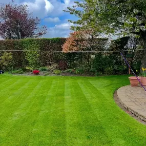 Bild von Fixt Services Ltd