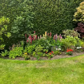 Bild von Fixt Services Ltd