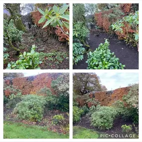 Bild von Fixt Services Ltd