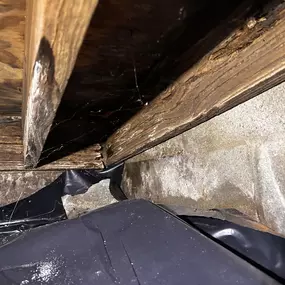 Bild von United Structural Systems