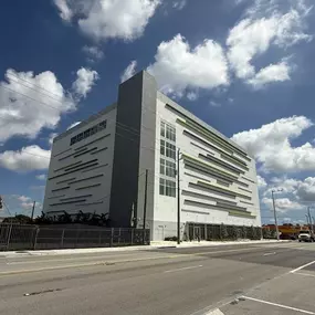 Alternate Beauty Image