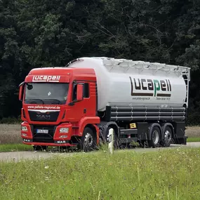 Bild von Lucapell GmbH