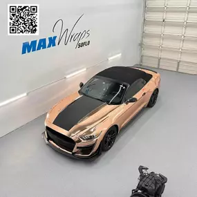 Bild von Max Wraps - Xpel PPF, Ceramic, & Tint