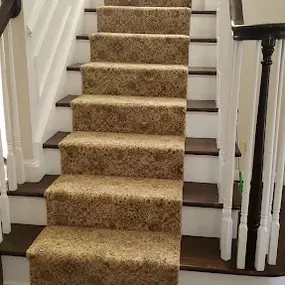 Bild von Global Carpet Cleaning and Restoration