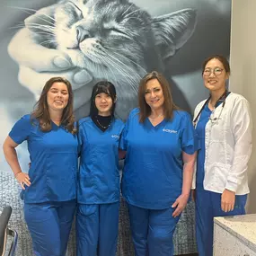 CityVet | Briargate team