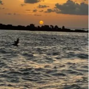 ChatGPT said:

Galveston Sunset Tour – Where Nature Puts on a Show

As the day winds down, step aboard the Galveston Sunset Tour and let the Gulf Coast treat you to its most unforgettable performance. Picture the sun slowly dipping toward the horizon, painting the sky with fiery streaks of orange, pink, and purple. Gentle waves ripple beneath the boat, while seabirds soar across the glowing sky, adding the perfect touch of island magic to your evening.

This serene harbor cruise is more than jus