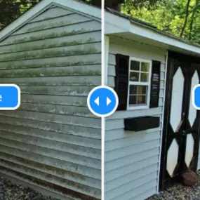 Exterior Soft Washing