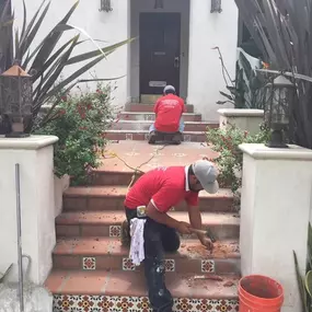 Bild von The Ultimate Company