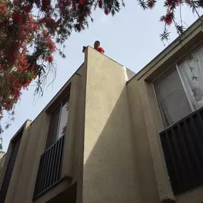 Bild von The Ultimate Company