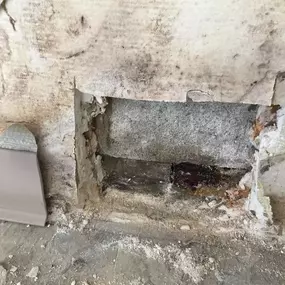 Bild von The Ultimate Company