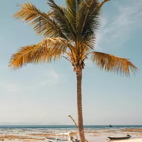 Bild von Numerique marketing Digitalone