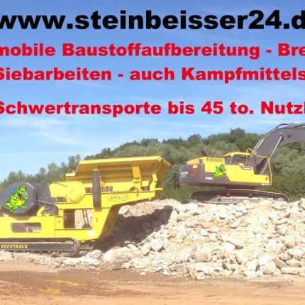 Logótipo de Steinbeisser24