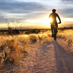 Enjoy Desert Color’s 210 acres of parks and trails system