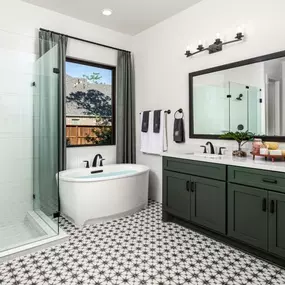 Lavaca's spa-like primary bathroom