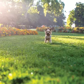 Enjoy the many parks