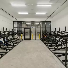 Bild von The Lindley