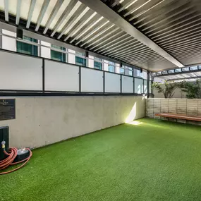 Bild von The Lindley