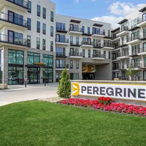Bild von Peregrine