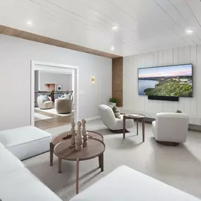 Spacious media rooms