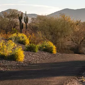 Pathway along Valle Norte community amenities with beautiful mountain views