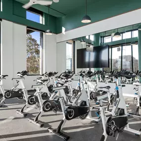 Bild von Banner Lane