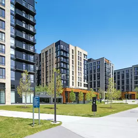 Bild von Banner Lane